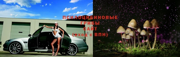прущая мука Белокуриха