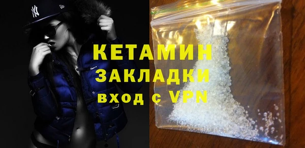 шишки Богородицк