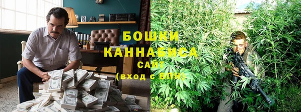 дживик Богородск