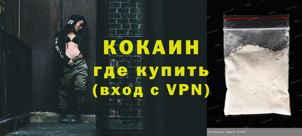 шишки Богородицк