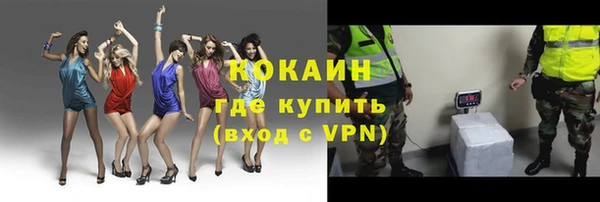 шишки Богородицк