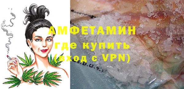 шишки Богородицк