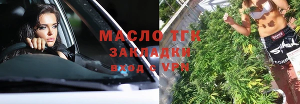 шишки Богородицк