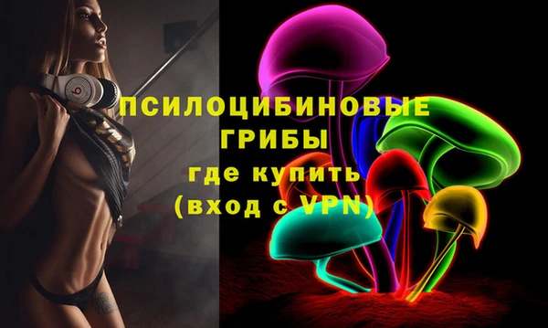 дурь Богданович