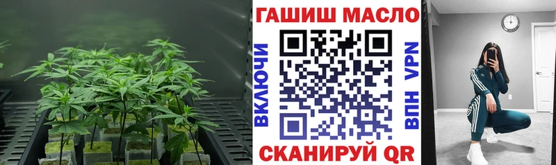 ТГК Wax  Нижний Новгород 