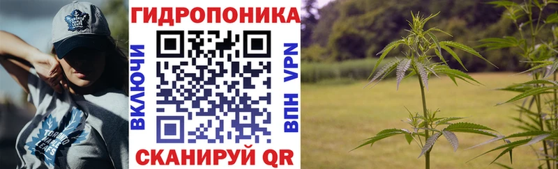 Бошки Шишки конопля наркотики Нижний Новгород
